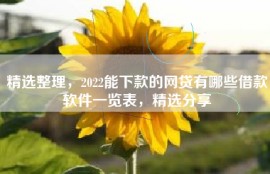 精选整理，2022能下款的网贷有哪些借款软件一览表，精选分享