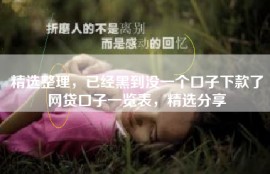 精选整理，已经黑到没一个口子下款了网贷口子一览表，精选分享