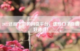 2022还能下款的网贷平台，这些口子靠谱好通过！