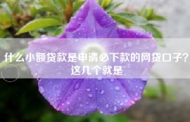 什么小额贷款是申请必下款的网贷口子？这几个就是