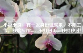 小赢卡贷：有一张身份证就来，不限工作，额度2w到5w，不打回访，秒批秒过！