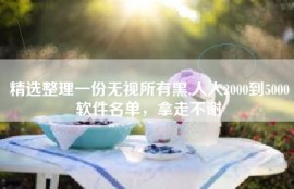 精选整理一份无视所有黑,人人2000到5000软件名单，拿走不谢