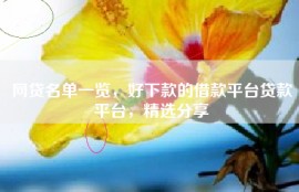 网贷名单一览，好下款的借款平台贷款平台，精选分享