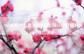 xd股票什么意思(股票出现xd是好是坏)