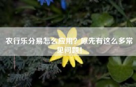 农行乐分易怎么应用？原先有这么多常见问题！