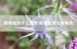 股票配资什么意思(股票配资去哪里找)
