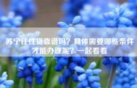 苏宁任性贷靠谱吗？具体需要哪些条件才能办理呢？一起看看
