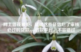 网上借钱被拒，试试这些征信烂了审核必过的贷款app借款平台，不容错过