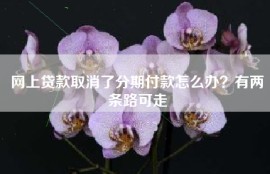 网上贷款取消了分期付款怎么办？有两条路可走