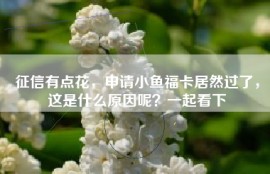征信有点花，申请小鱼福卡居然过了，这是什么原因呢？一起看下
