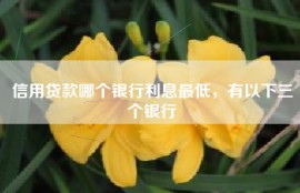 信用贷款哪个银行利息最低，有以下三个银行