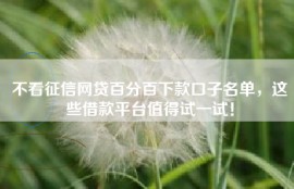不看征信网贷百分百下款口子名单，这些借款平台值得试一试！