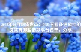 2022年10月网贷盘点：2022不看征信风控的贷款有哪些借款平台名单，分享！