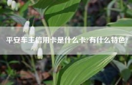 平安车主信用卡是什么卡?有什么特色?