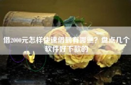 借2000元怎样快速借到有哪些？盘点几个软件好下款的