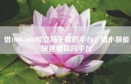 借1000-5000能立马下款的平台，借小额能快速借款的平台