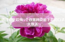 错过必定后悔!5个双黑网贷能下款的口子大放送!