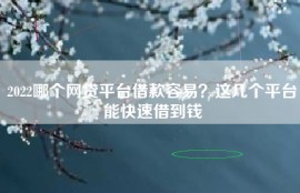 2022哪个网贷平台借款容易？这几个平台能快速借到钱