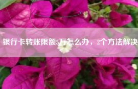 银行卡转账限额5万怎么办，2个方法解决