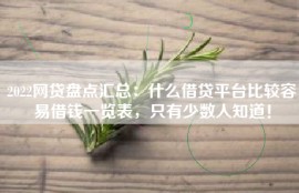 2022网贷盘点汇总：什么借贷平台比较容易借钱一览表，只有少数人知道！