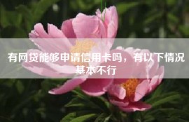 有网贷能够申请信用卡吗，有以下情况基本不行