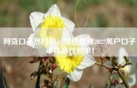 网贷口子热门篇：精选整理2022黑户口子审核必过名单！