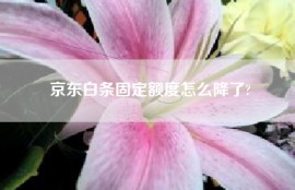 京东白条固定额度怎么降了?