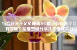综合评分不足负债高2022能下款网贷平台有哪些？精选整理分享几个借款平台