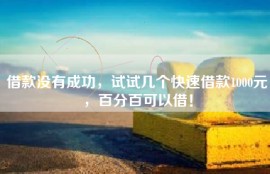 借款没有成功，试试几个快速借款1000元，百分百可以借！