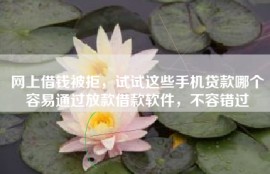 网上借钱被拒，试试这些手机贷款哪个容易通过放款借款软件，不容错过