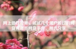 网上借钱被拒，试试几个黑户能过的网贷有哪些网贷平台，精选分享