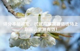 评分不足被拒，试试几家我要借钱马上到账，亲测有效！