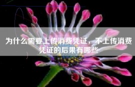 为什么需要上传消费凭证，不上传消费凭证的后果有哪些