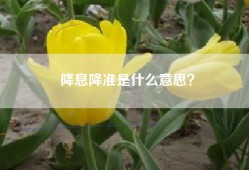 降息降准是什么意思？