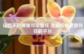 征信不好哪里可以借钱 急用钱快速借到钱的平台