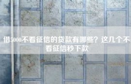 借5000不看征信的贷款有哪些？这几个不看征信秒下款
