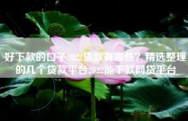 好下款的口子2022贷款有哪些？精选整理的几个贷款平台2022能下款网贷平台