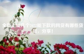 全新上线几个2022能下款的网贷有哪些贷款，分享！