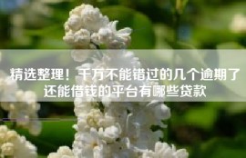 精选整理！千万不能错过的几个逾期了还能借钱的平台有哪些贷款