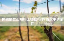 极融借款正规吗上征信吗?附借款申请条件