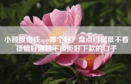 小额度借钱app哪个好？盘点门槛低不看征信好通过不被拒好下款的口子