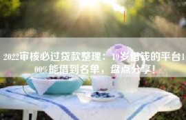 2022审核必过贷款整理：19岁借钱的平台100%能借到名单，盘点分享！