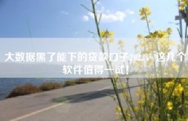 大数据黑了能下的贷款口子2022，这几个软件值得一试！
