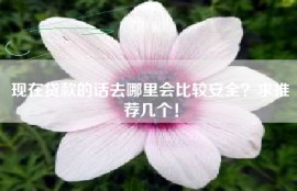 现在贷款的话去哪里会比较安全？求推荐几个！