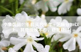 小象优品：手机实名半年+芝麻分580以上，其他统统不看，稳批稳过！