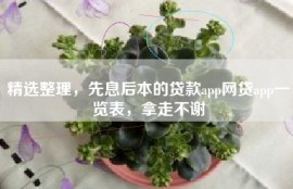 精选整理，先息后本的贷款app网贷app一览表，拿走不谢