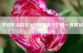 平安车主贷款10万利息多少？算一算就知道了