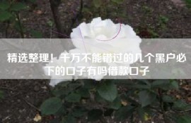 精选整理！千万不能错过的几个黑户必下的口子有吗借款口子