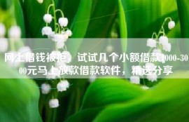 网上借钱被拒，试试几个小额借款1000-3000元马上放款借款软件，精选分享