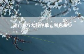 建行30万大额存单，利息多少